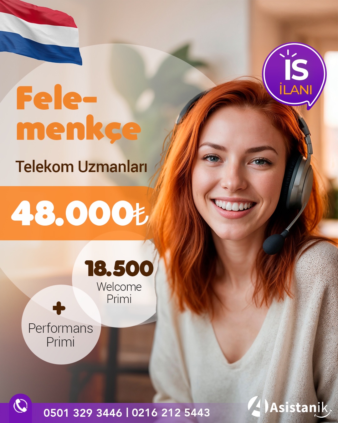 Felemenkçe Bilen Telekom Danışmanları